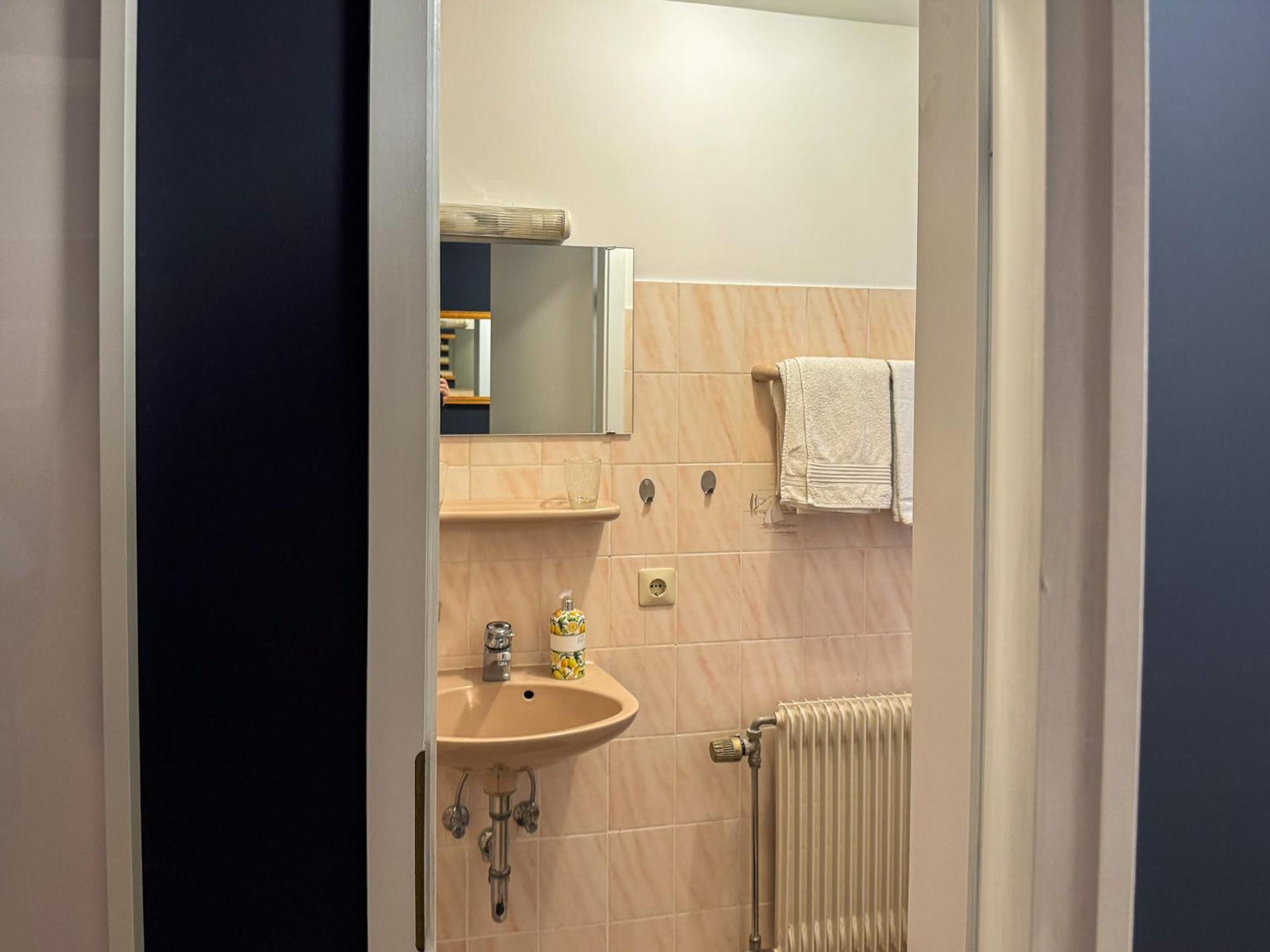 Apartment Parkplatz Garten Rad-Garage Freiburg im Breisgau Eksteriør bilde